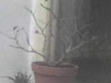 DSC00071.JPG