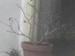 DSC00071.JPG